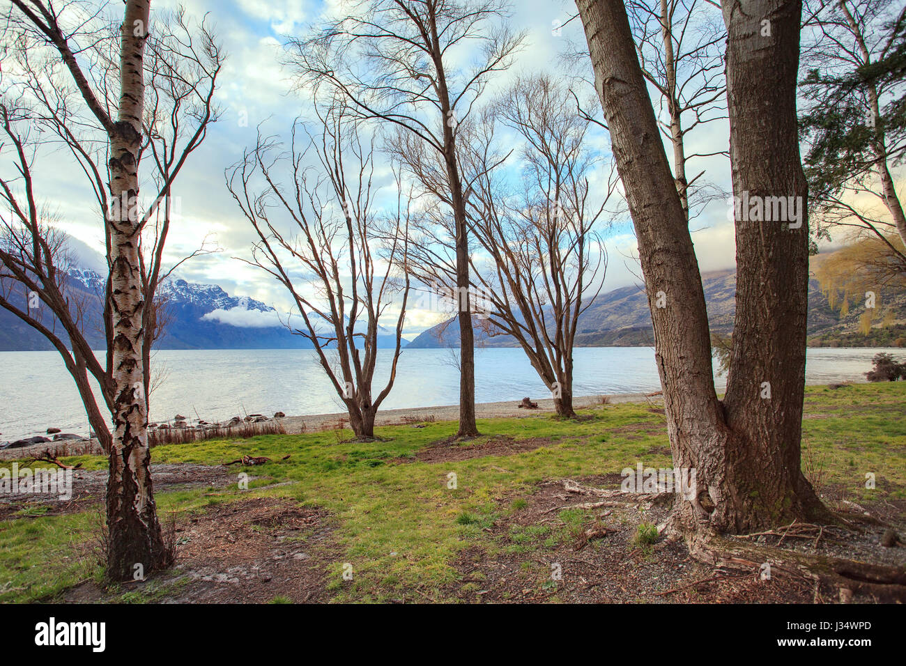 look out scenery of lake wakatipu queentown south island new zealand ...