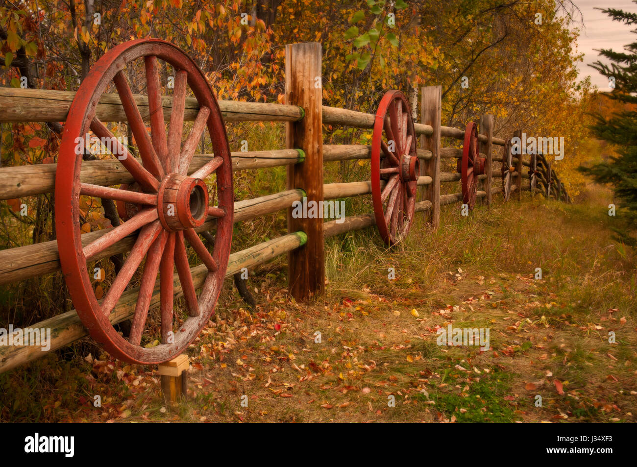 Old Wagon Wheels Decorative Fence Stock Photos Old Wagon Wheels