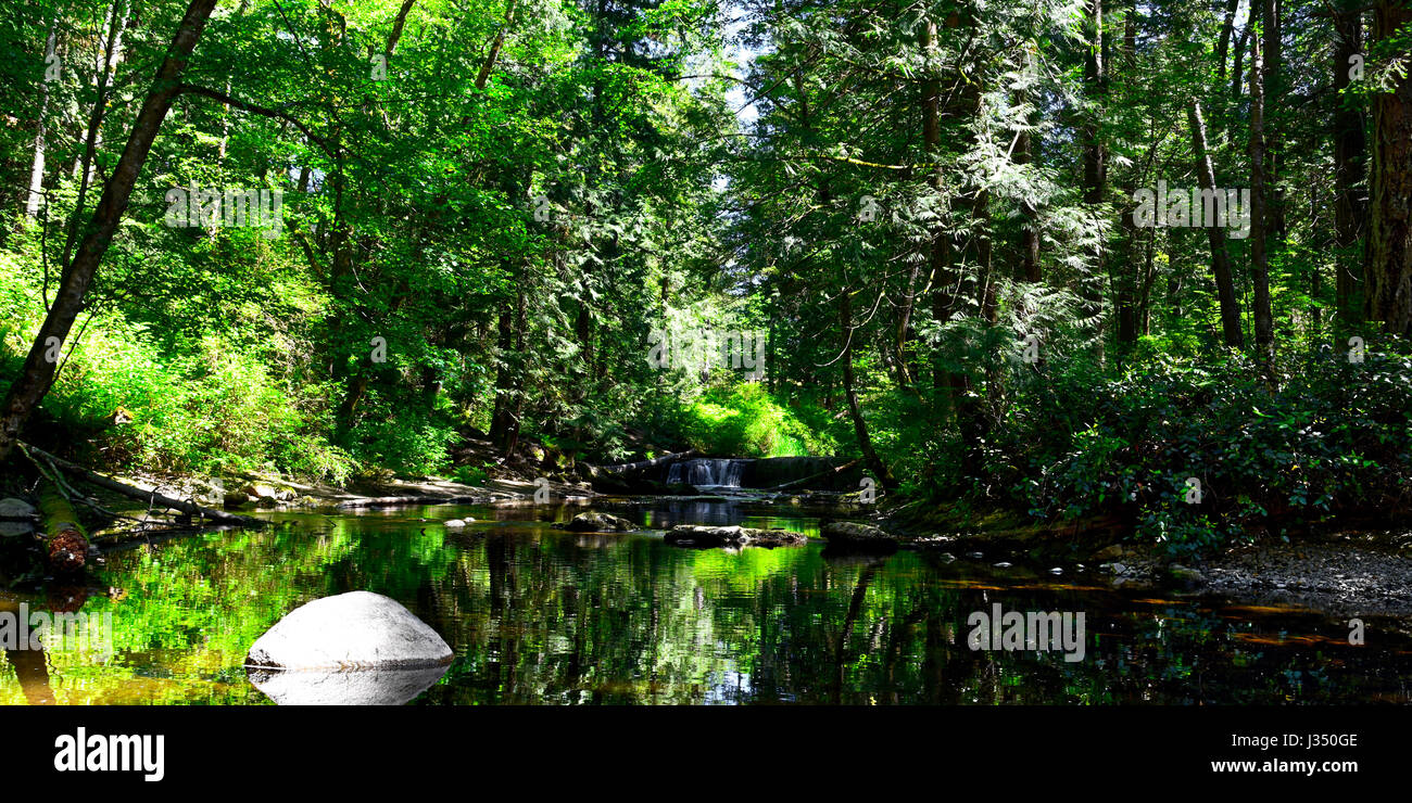 Calm stream, Whatcom Falls Park Stock Photo