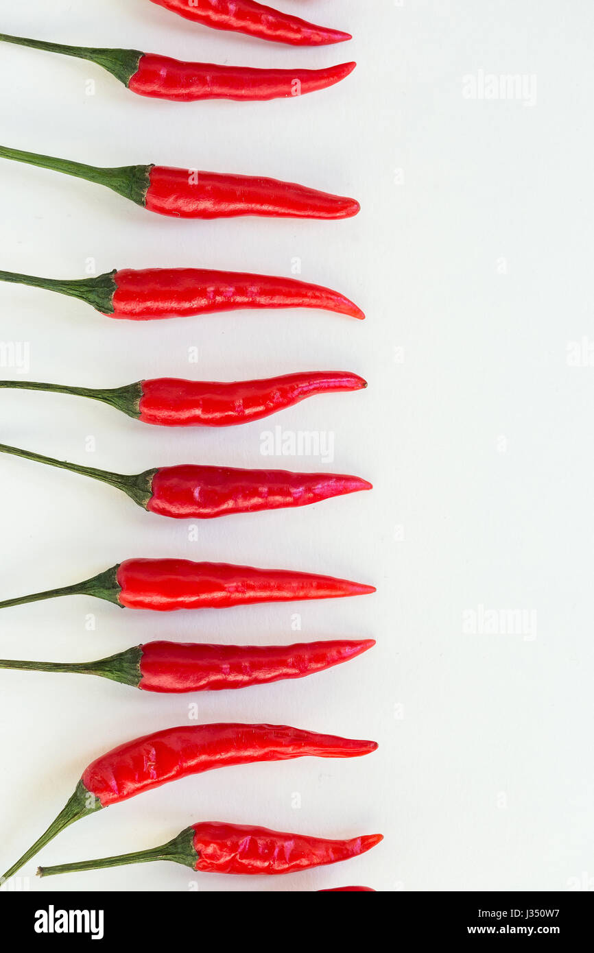 red hot chili peppers, popular spices concept decorative pattern in