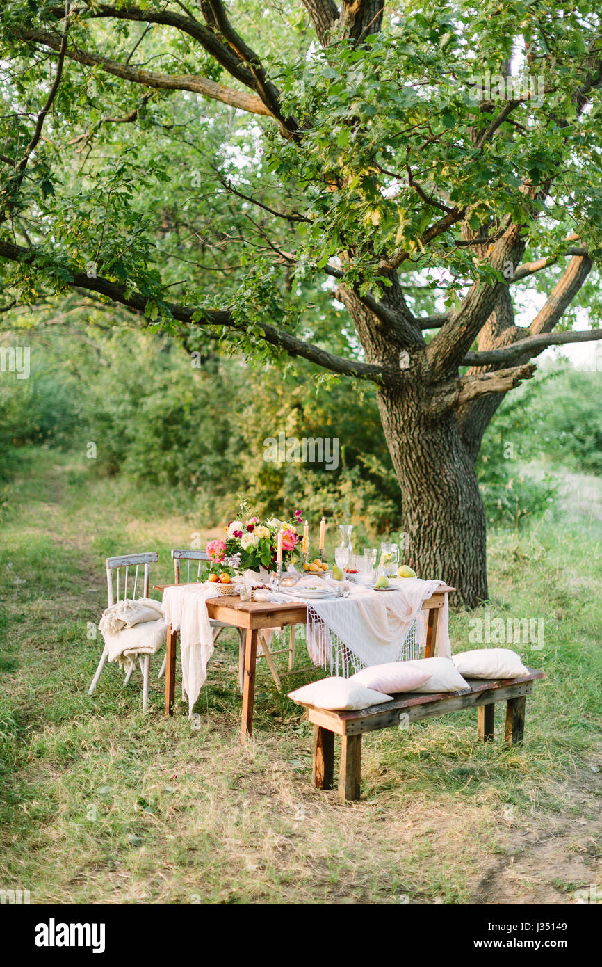 picnic, summer, holiday concept festive table setting under big oak