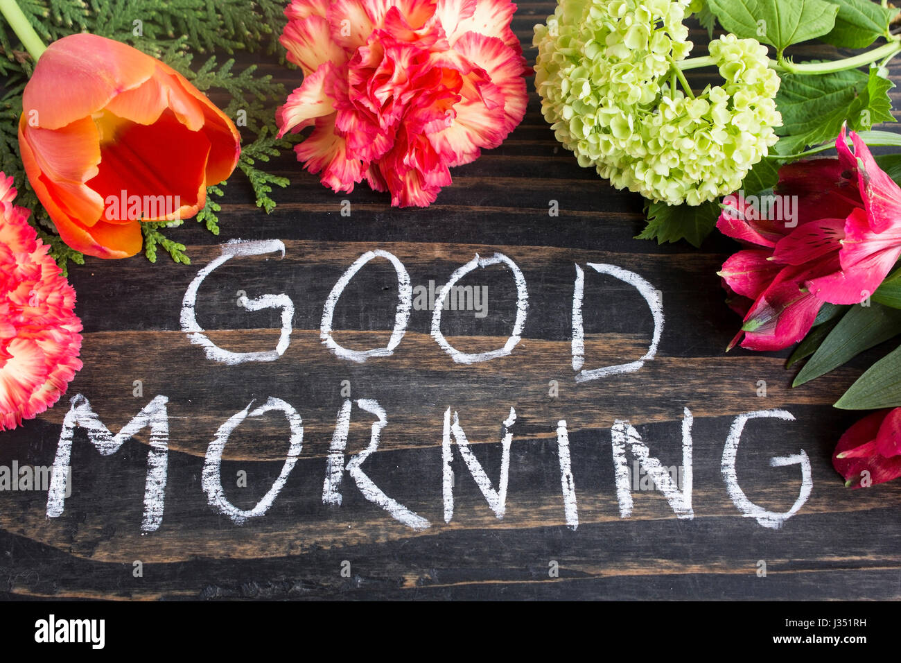 Words Good Morning Summer Flowers Stock Photos Words Good
