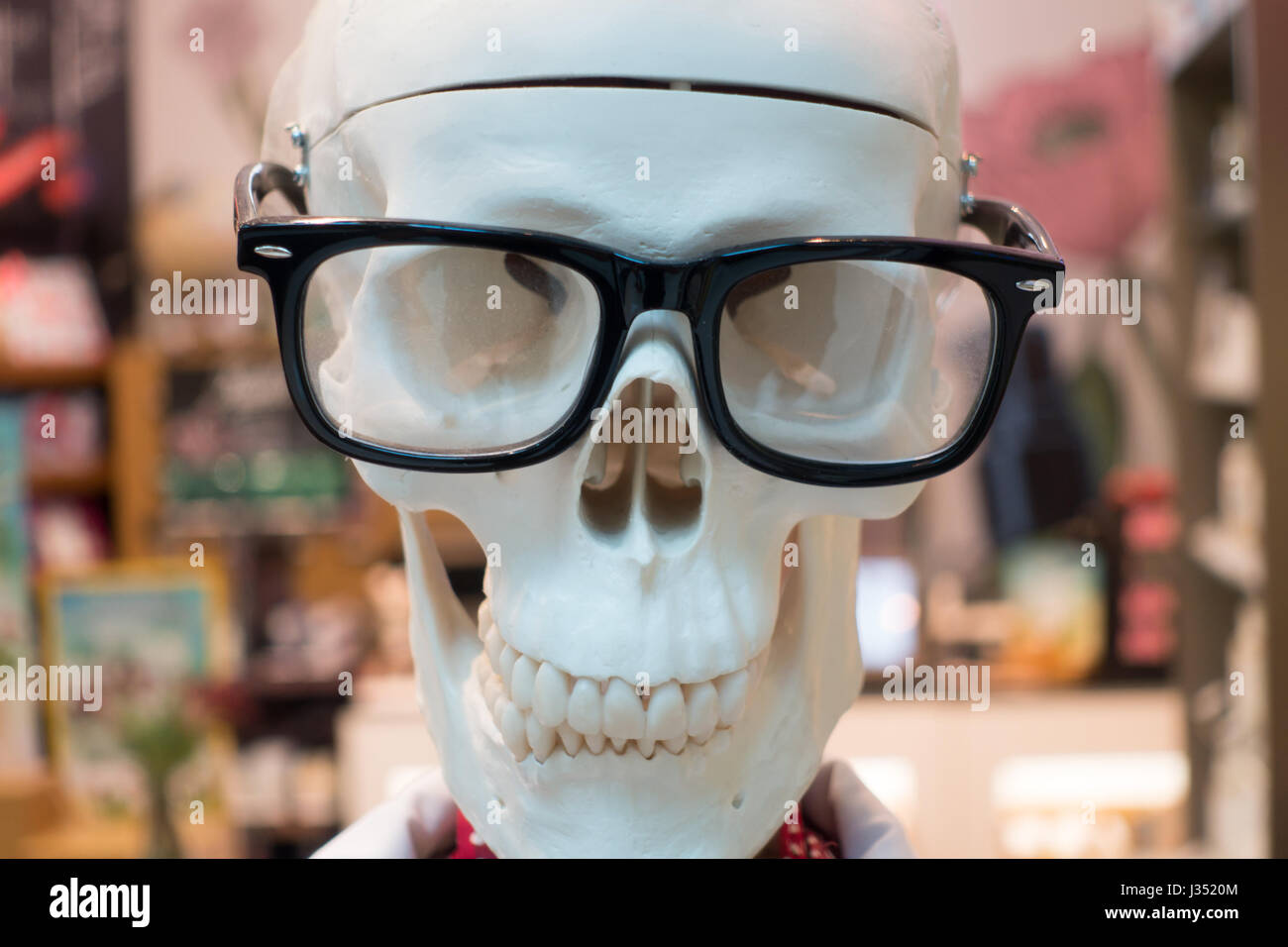 Skull face wearing glasses Stock Photo