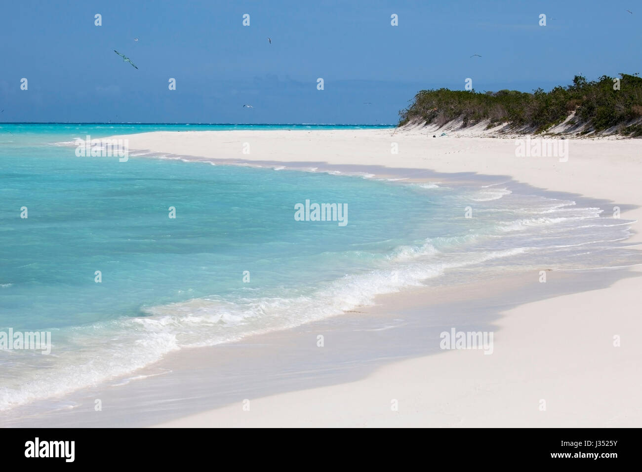 Midway Atoll sand island, lagoon and beach on a sunny day in Papahanaumokuakea Marine National Monument Stock Photo