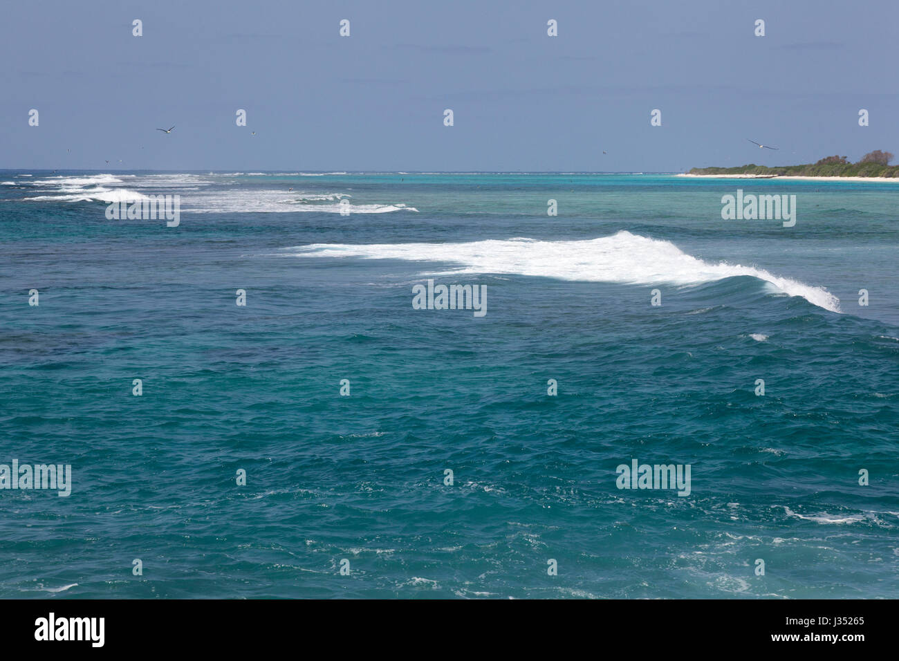 Surf breaking over the barrier reef surrounding Midway Atoll's island coast and lagoon in Papahanaumokuakea Marine National Monument Stock Photo