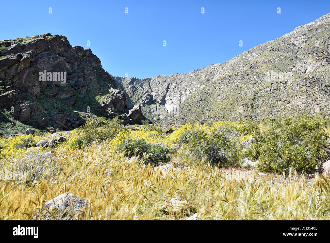 PALM SPRINGS, CA - MARCH 24, 2017: Tahquitz Canyon. The canyon is one of the most beautiful and culturally sensitive areas of the Agua Caliente Indian Stock Photo