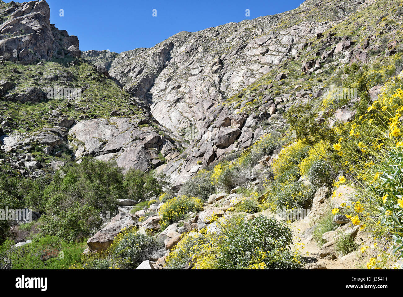 PALM SPRINGS, CA - MARCH 24, 2017: Tahquitz Canyon trail. The canyon is one of the most beautiful and culturally sensitive areas of the Agua Caliente  Stock Photo
