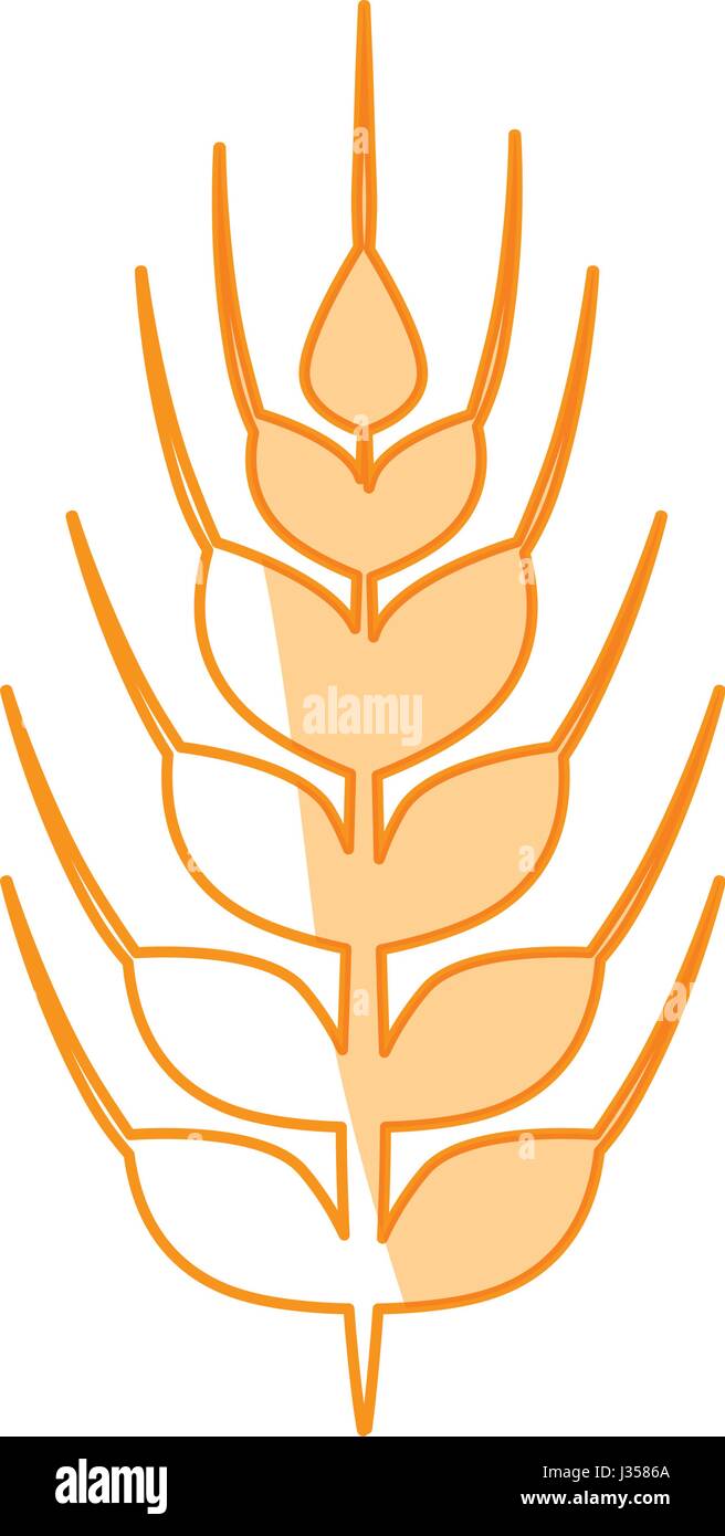 Wheat food symbol Stock Vector