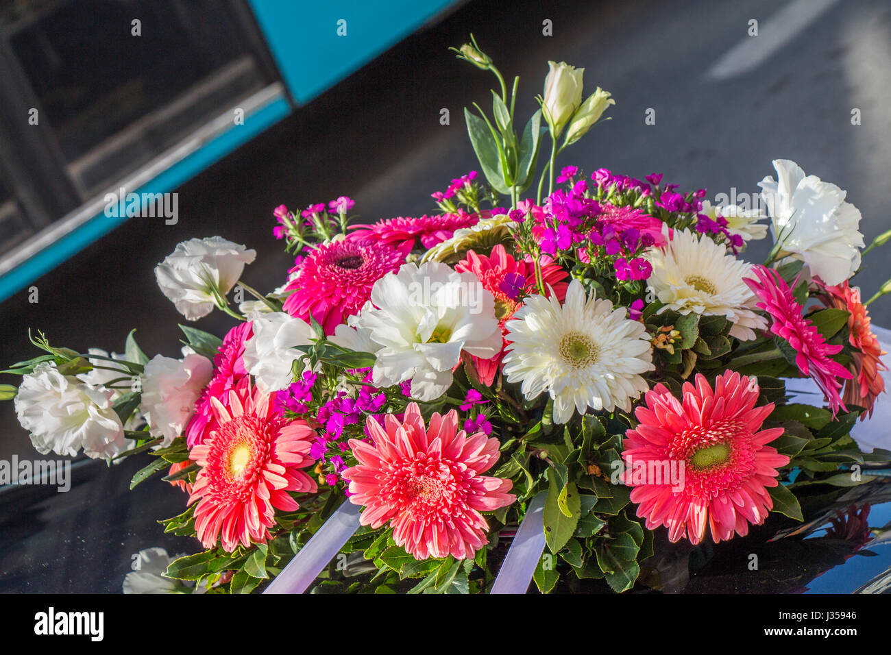 Beautiful fresh flowers as a nature background Stock Photo - Alamy