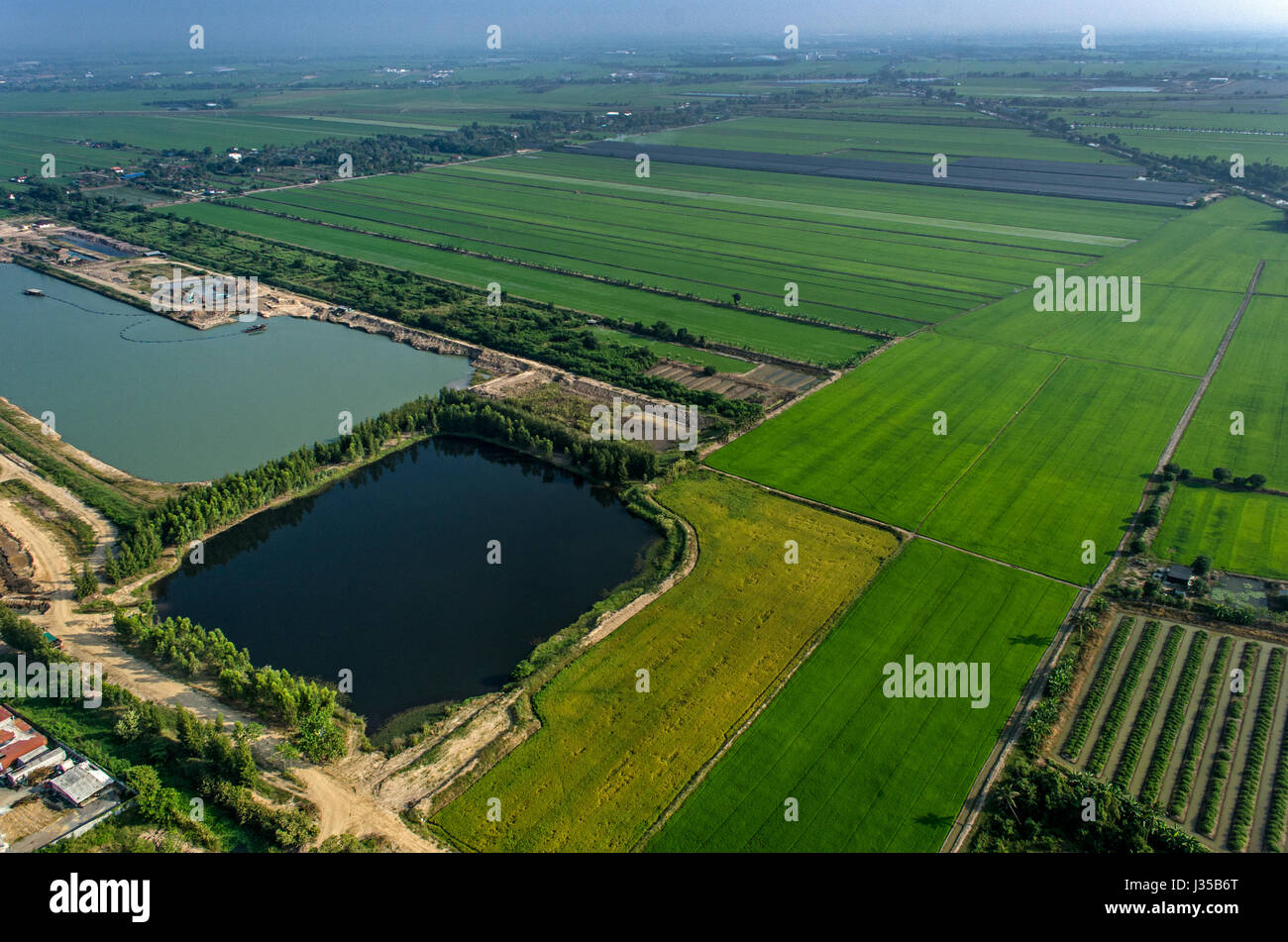 Organic Farming, Agriculture Aerial Photography in Asia Stock Photo