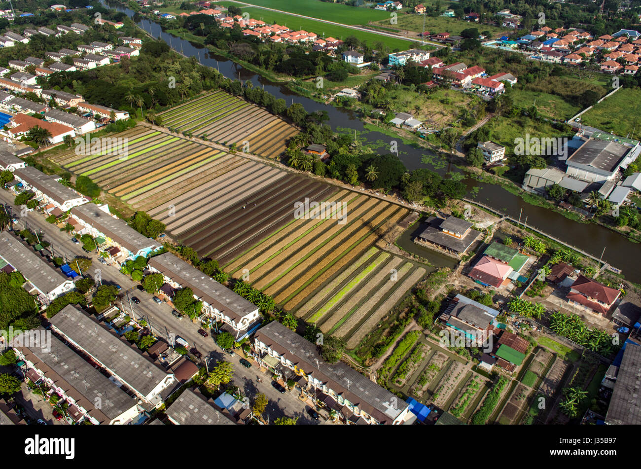 Vegetable Farming, Agriculture in Thailand Aerial Photography Stock Photo