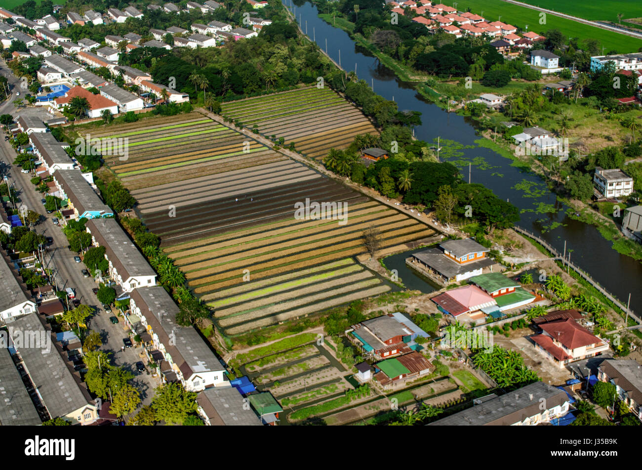 Organic Vegetable Farming, Agriculture in Thailand Aerial Photography Stock Photo