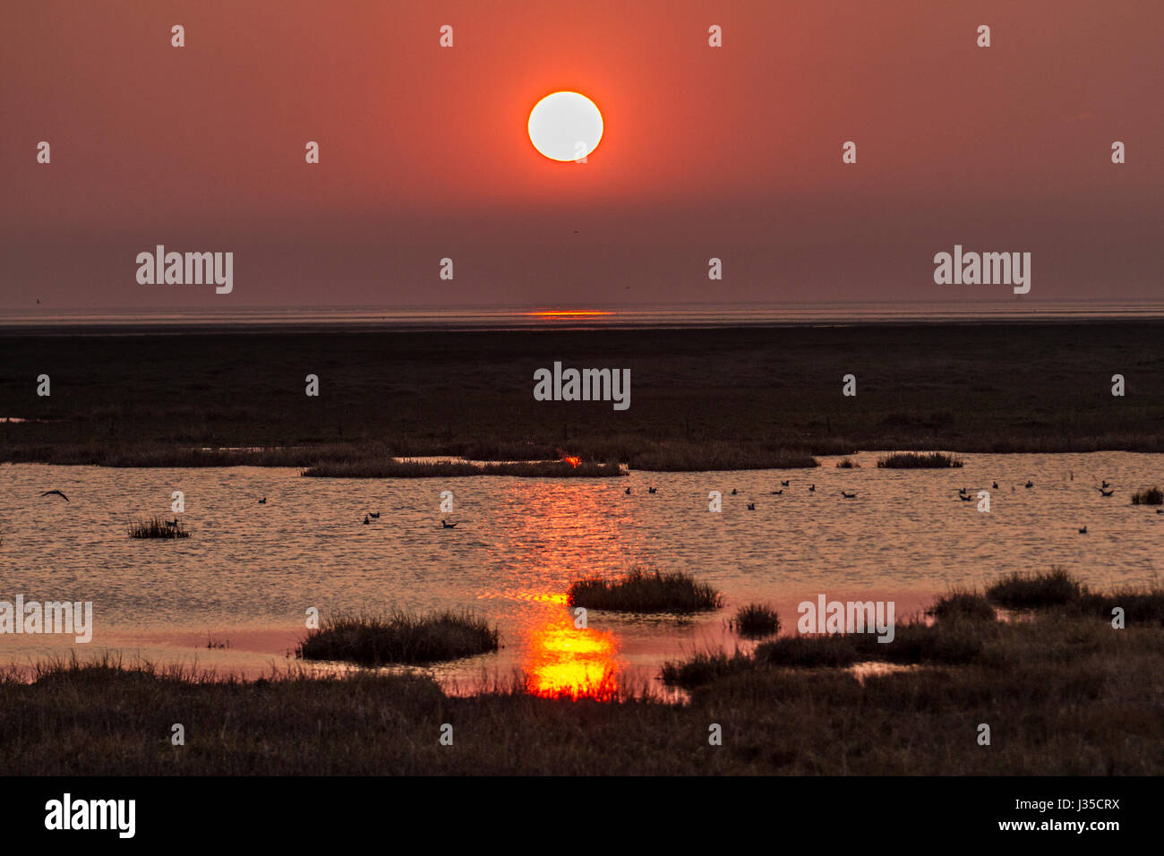 'Red sky at night, shepherd's delight. Red sky in the morning, shepherd's warning' first appears in the Gospel of Matthew Credit; MediaWorldImages/AlamyLiveNews. Stock Photo