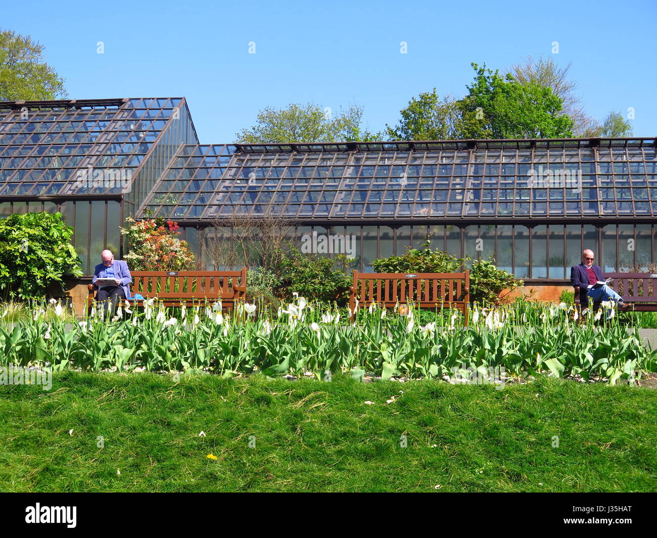 Botanic Gardens, Glasgow, UK. 3rd May, 2017. Glaswegians enjoy a