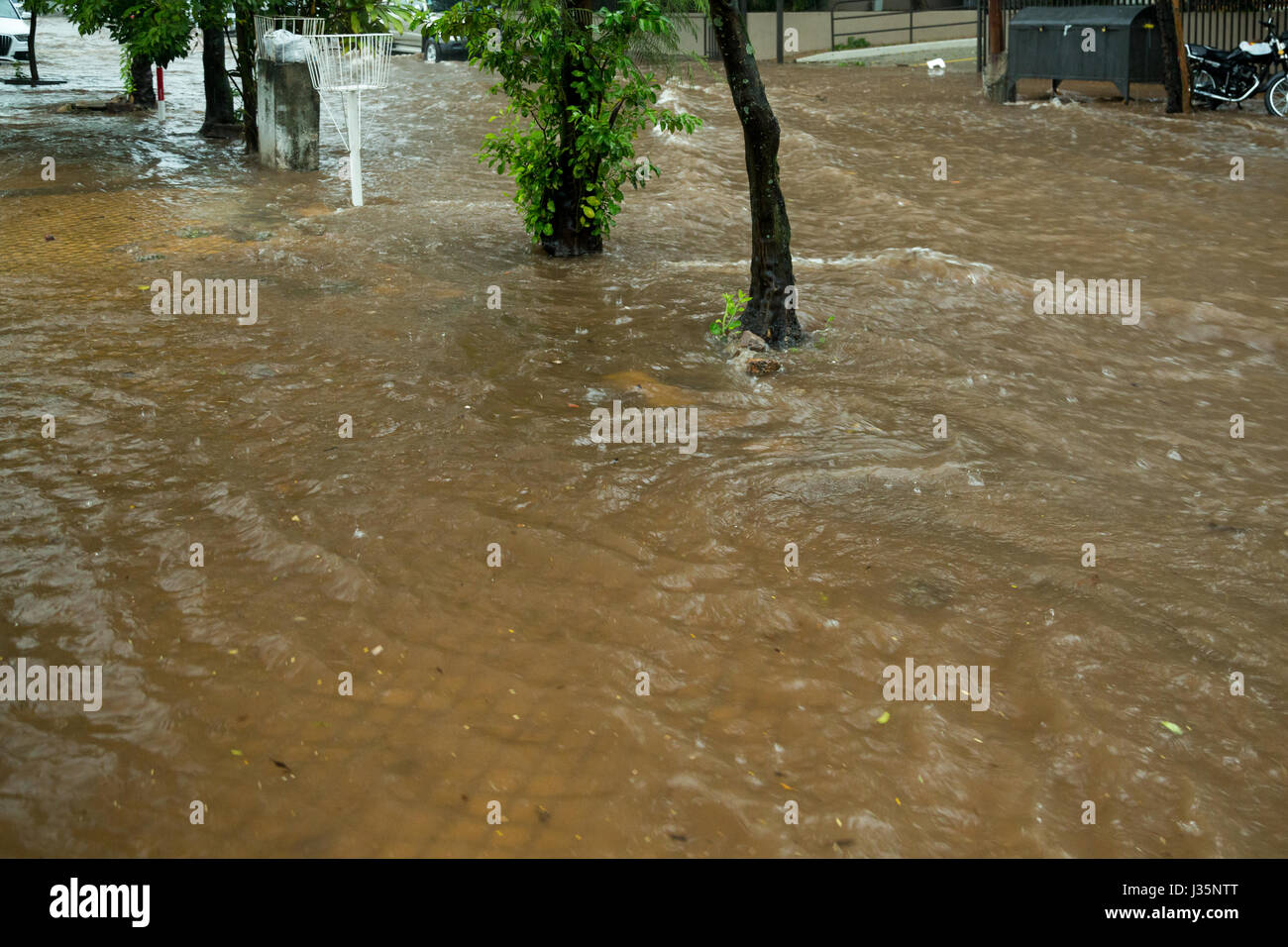 Asuncion, Paraguay. 3rd May, 2017. A heavy downpours hit downtown Asuncion, the rainfall caused flooding in several streets during the afternoon in Paraguay's capital. According to the weather forecast thunderstorms will continue. Credit: Andre M. Chang/ARDUOPRESS/Alamy Live News Stock Photo