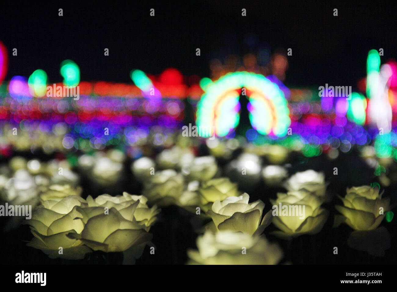 Hangzhou, Hangzhou, China. 3rd May, 2017.  .More than 5,000 rose-shaped lights can be seen at a lighting festival held in Tonglu County, Hangzhou, east China's Zhejiang Province, May 3rd, 2017. Credit: SIPA Asia/ZUMA Wire/Alamy Live News Stock Photo
