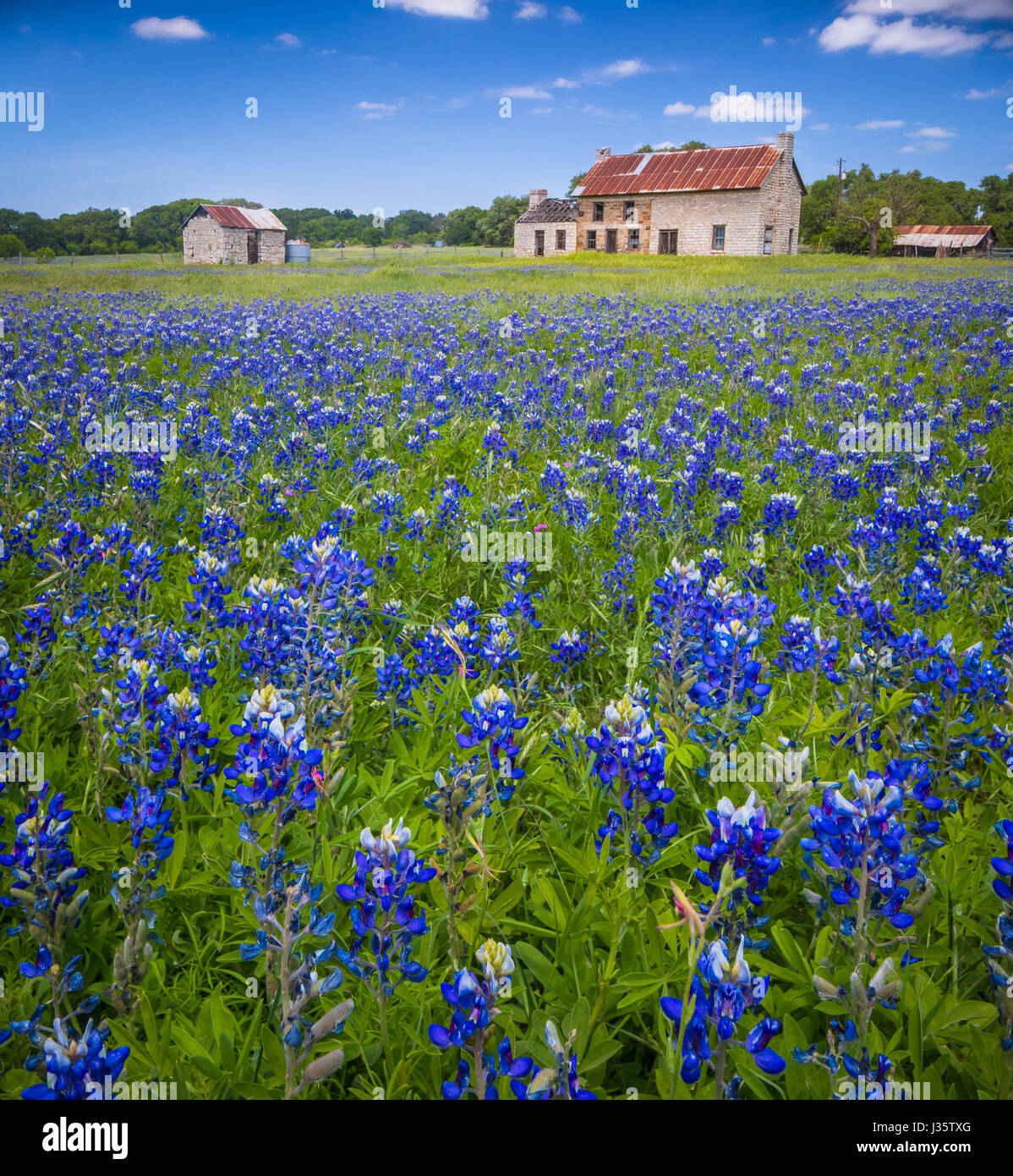county hires stock photography and images Alamy