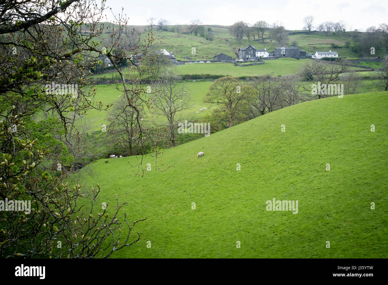Countryside around Troutbeck near Lake Windemere in the Lake District , Cumbria , England. Stock Photo
