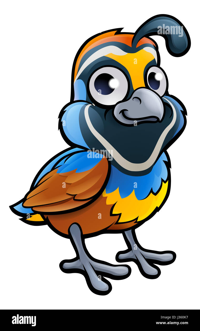 Bird quail cartoon animal vector hi-res stock photography and images - Alamy Bird quail cartoon animal vector hi-res stock photography and images - Alamy