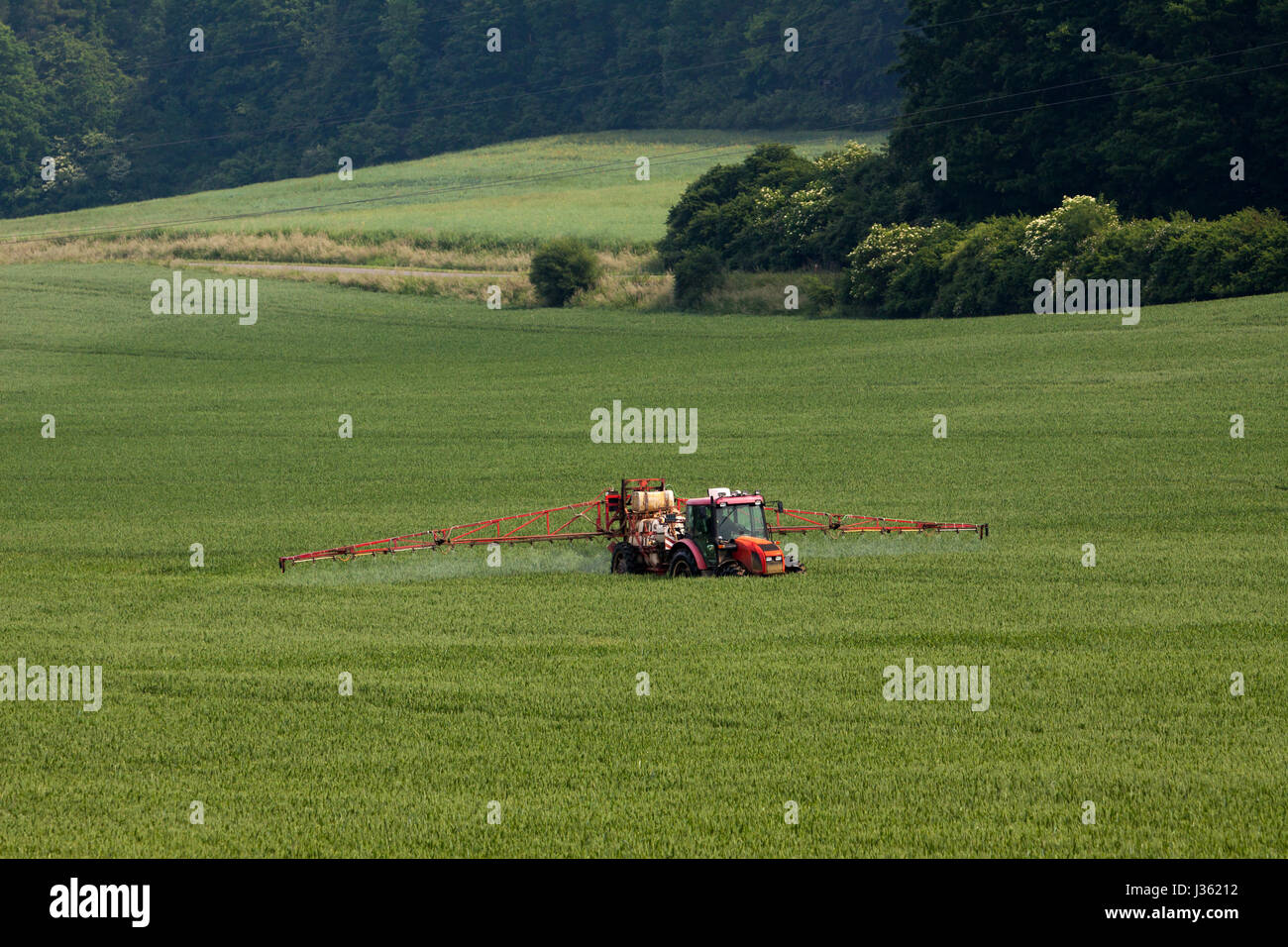 Fungicide spraying hi-res stock photography and images - Page 3 - Alamy