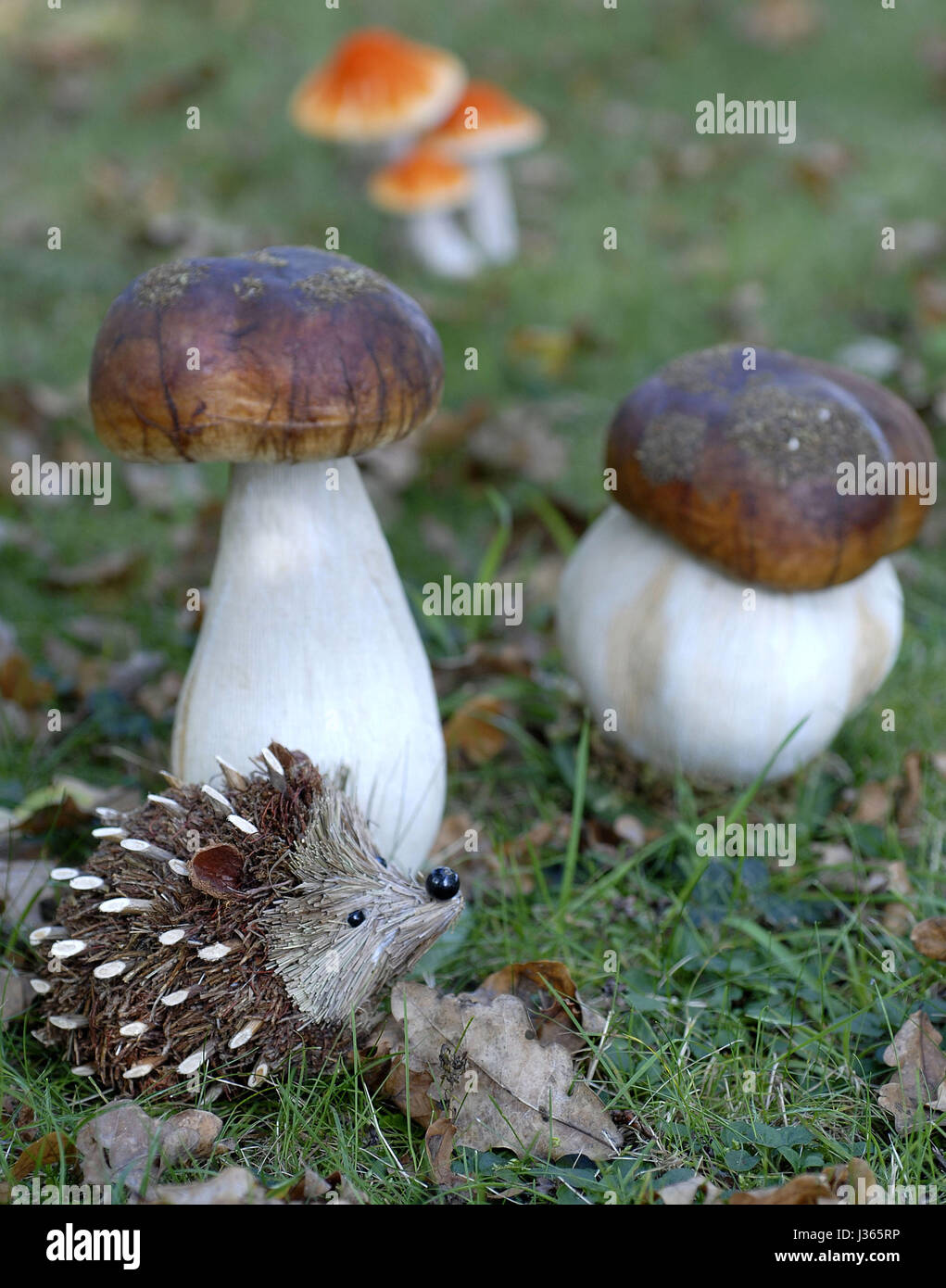Fake mushrooms hi-res stock photography and images - Alamy