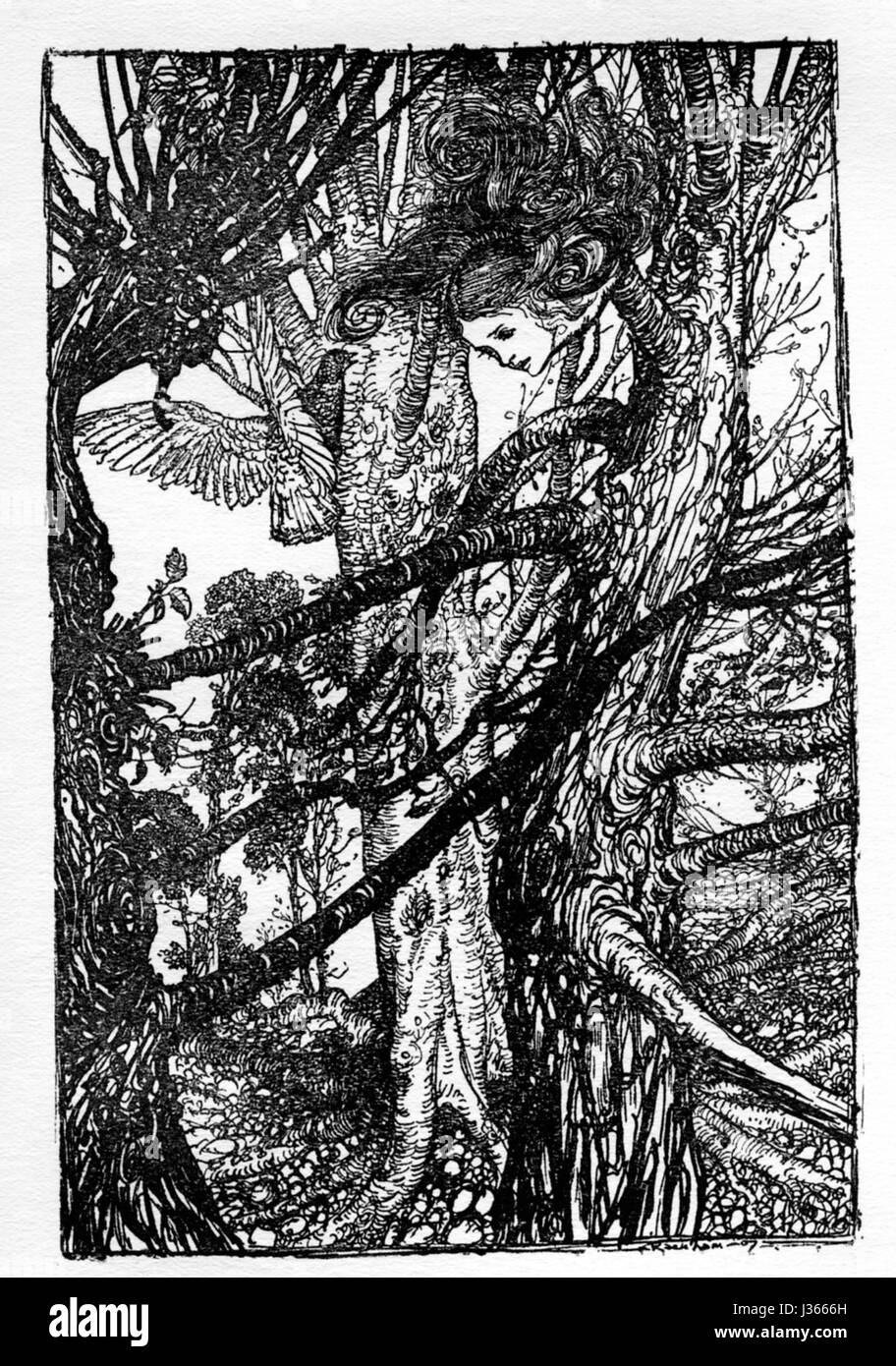 Illustration by Arthur Rackham Alice's Adventures in Wonderland, by ...