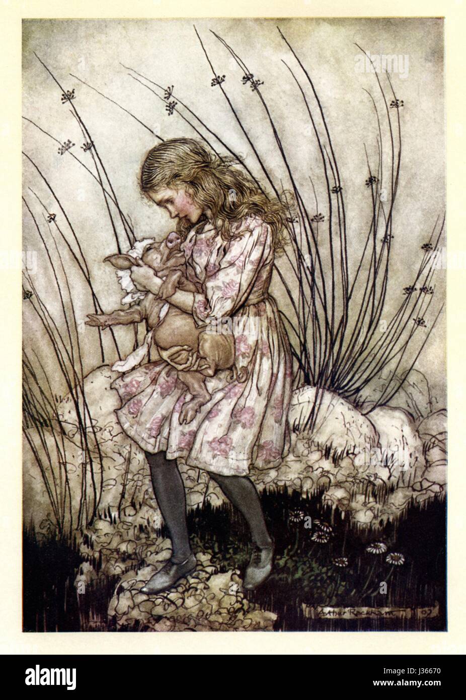 Illustration by Arthur Rackham Alice's Adventures in Wonderland, by Lewis  Carroll London, William Heinemann, 1907. Alice and the baby pig Stock Photo  - Alamy