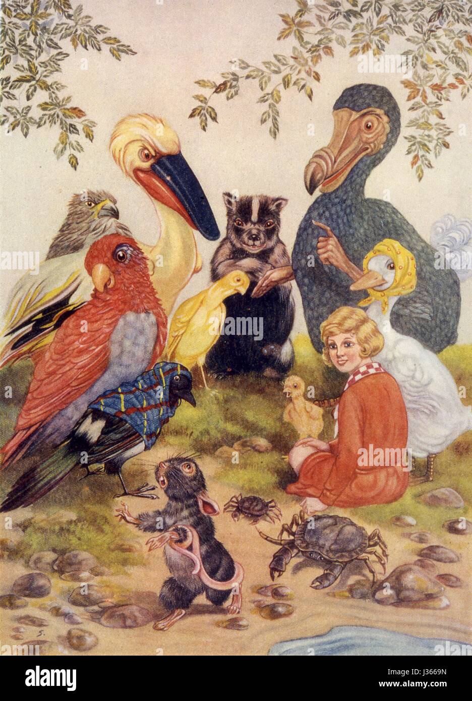 Illustratration By D R Sexton Alice In Wonderland By Lewis Carroll