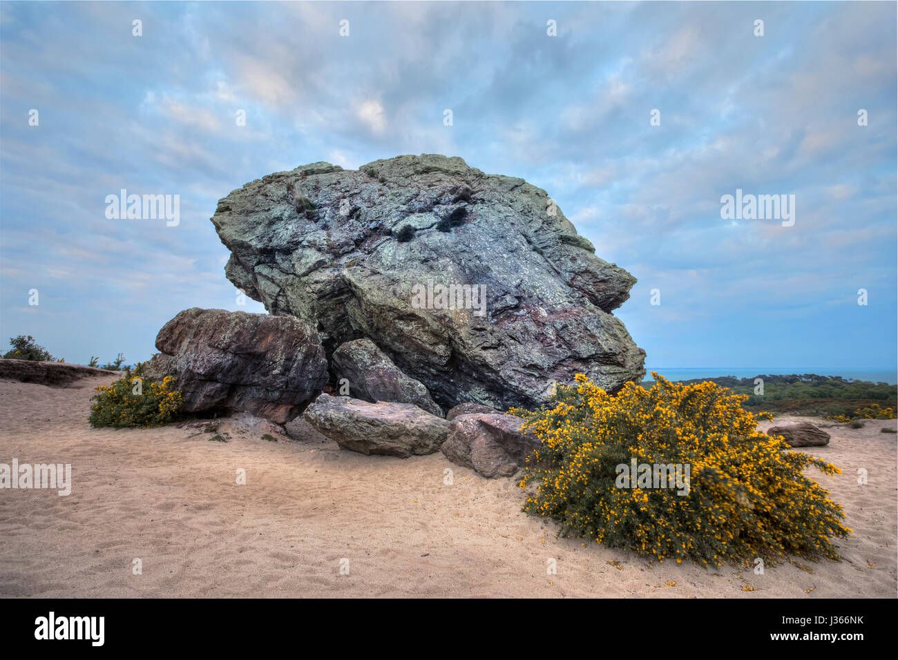 Agglestone Rock, Purbeck, Studland, Dorset, England Stock Photo