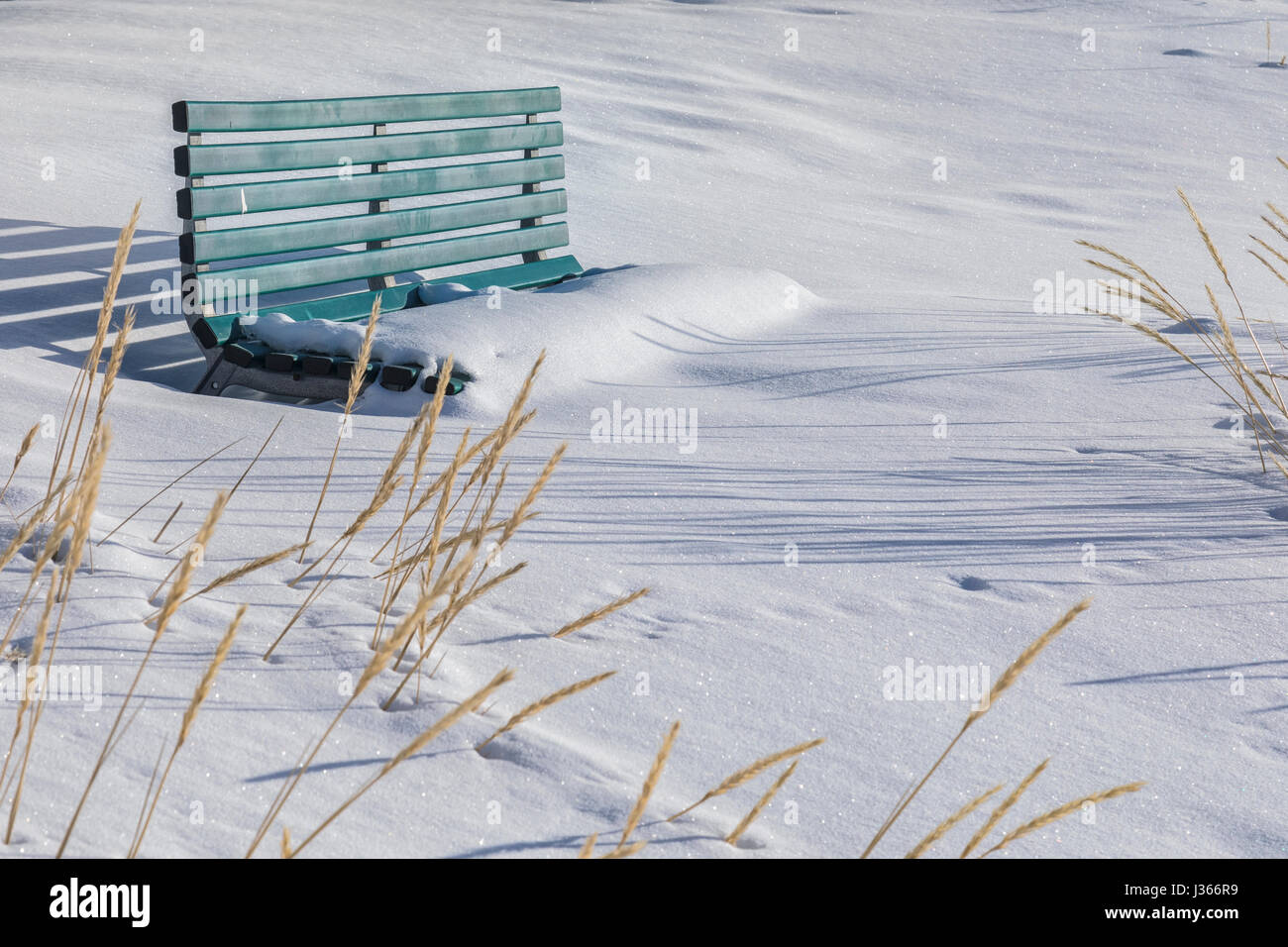 a bench covered with snow Stock Photo