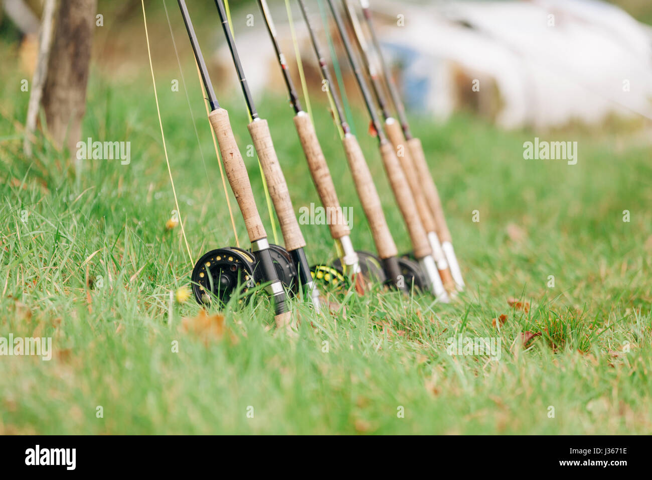 Fishing rods lined up in a row outdoors Stock Photo