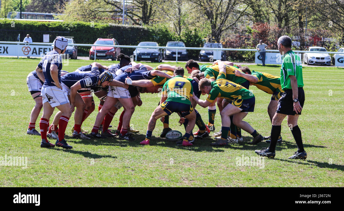 Rugby Match. April 2017. Henley Bulls vs London Scottish.Richmond Rugby Club, Twickenham, London, UK Stock Photo