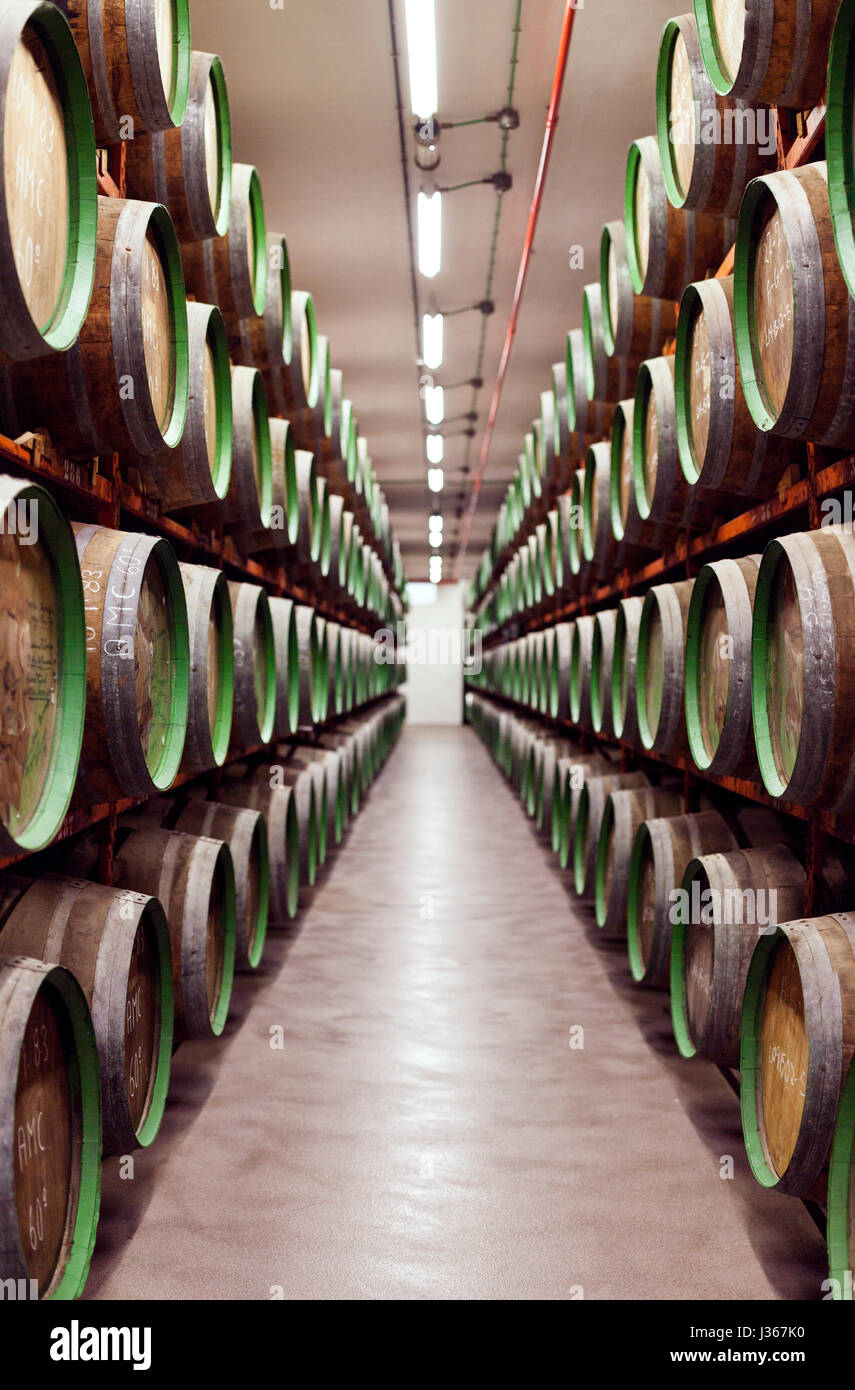 Underground wine cellar spain hires stock photography and images Alamy