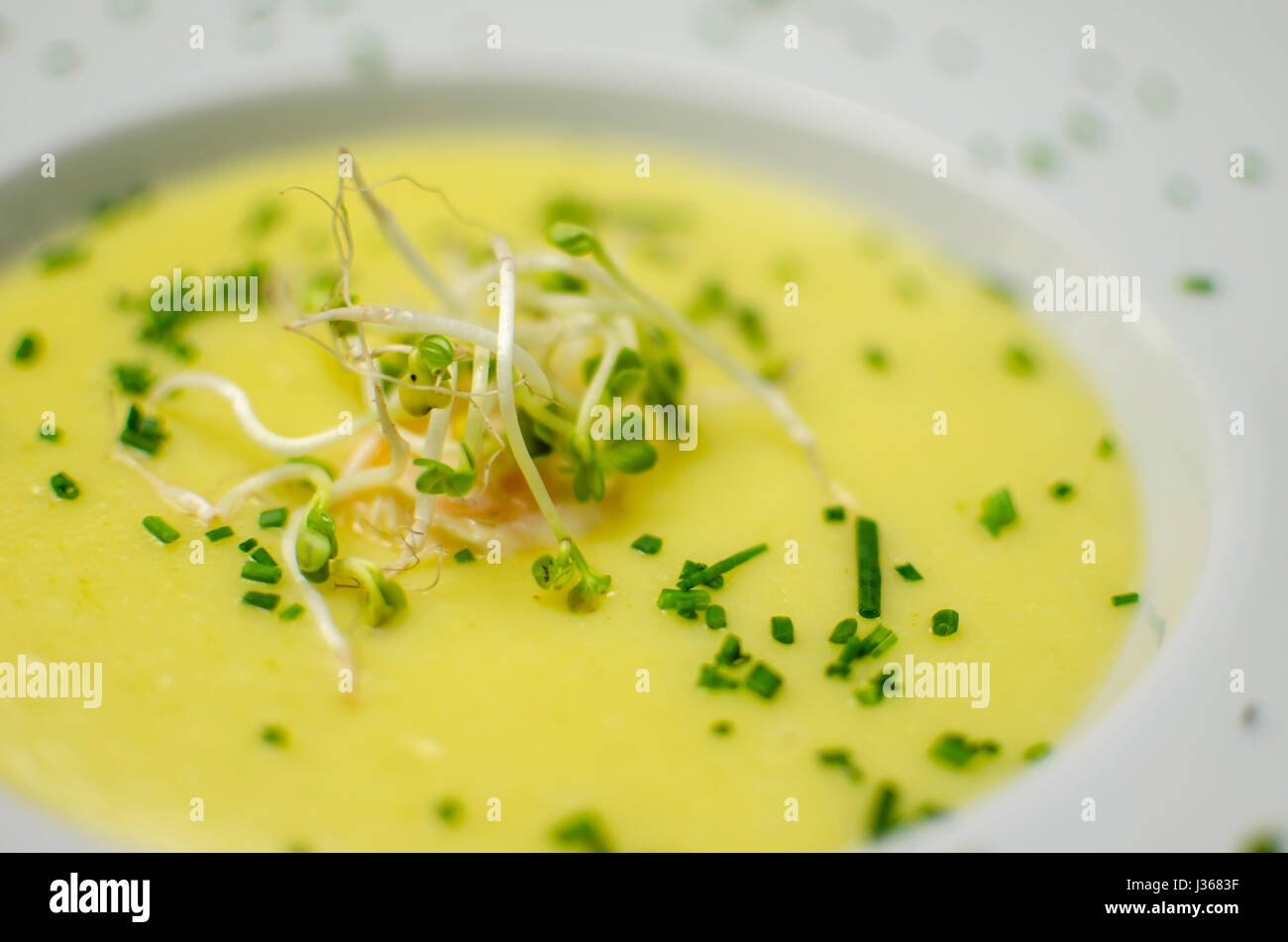 cream of zucchini Stock Photo