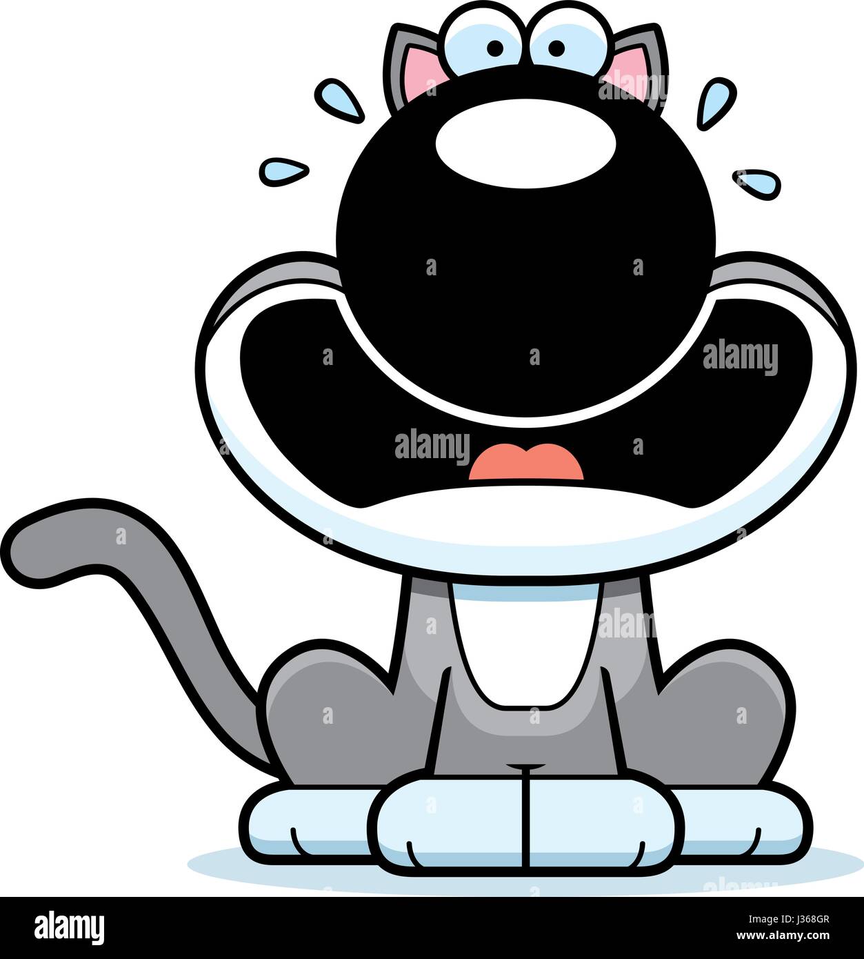 Scared Cats Stock Illustrations – 306 Scared Cats Stock Illustrations,  Vectors & Clipart - Dreamstime