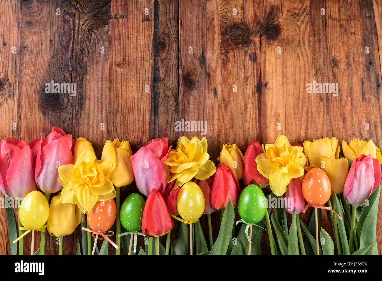 Red and yellow tulips daffodil flowers with Easter eggs on dark wooden ...