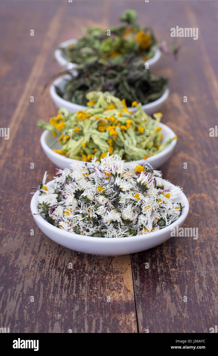 Bowls of various dried herbs Stock Photo