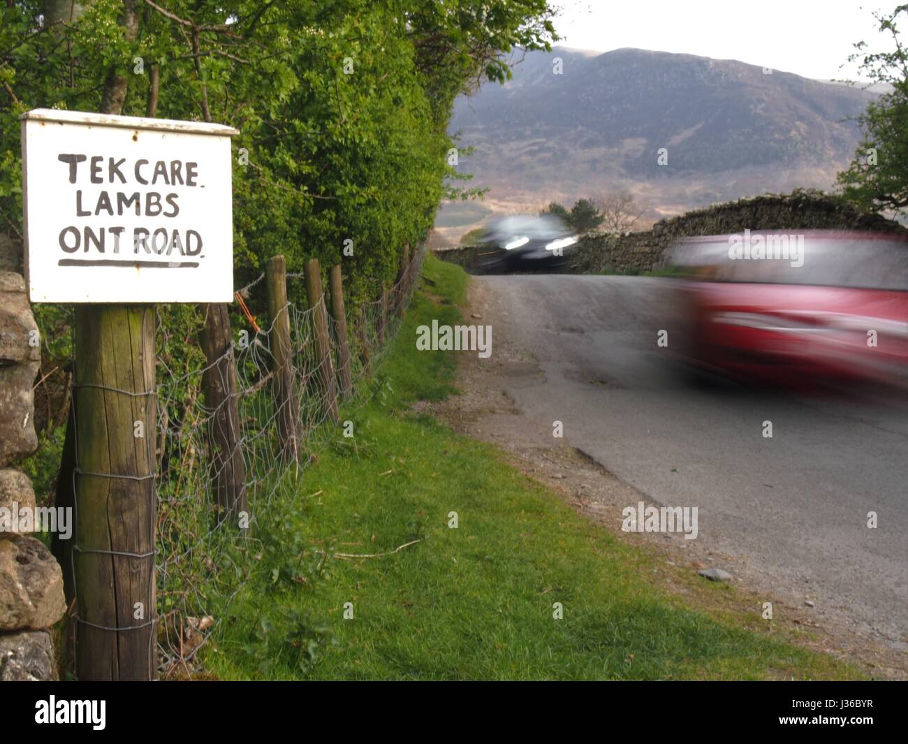 Homemade Lambing Sign (in Local Dialect), Buttermere Valley, Cumbria, United Kingdom Stock Photo