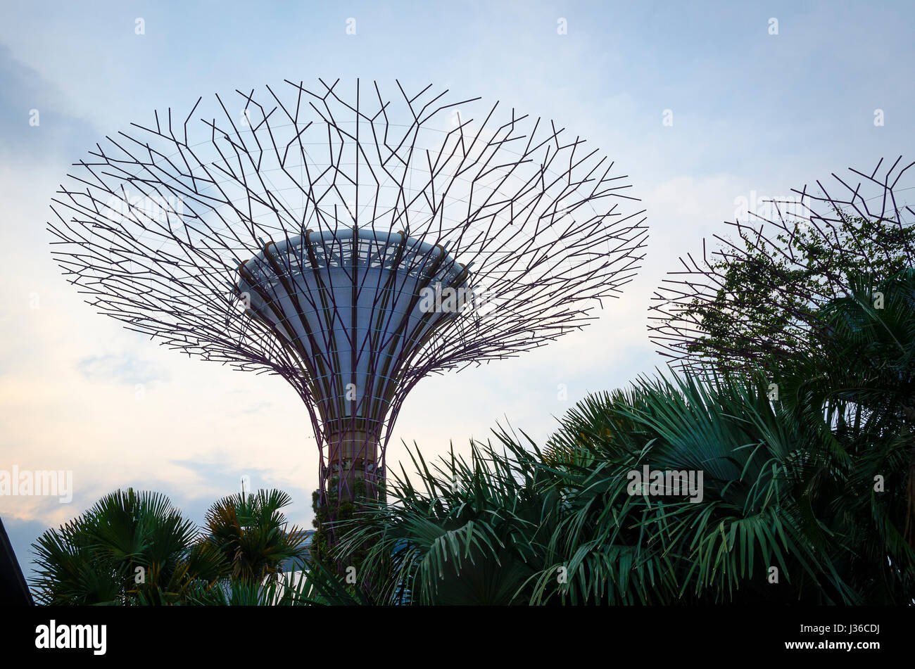 Artificial trees, Gardens by the Bay, Singapore Stock Photo Alamy