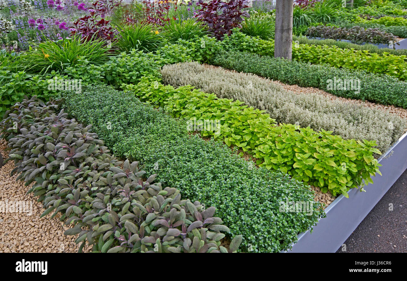A well laid out Herb Garden Stock Photo