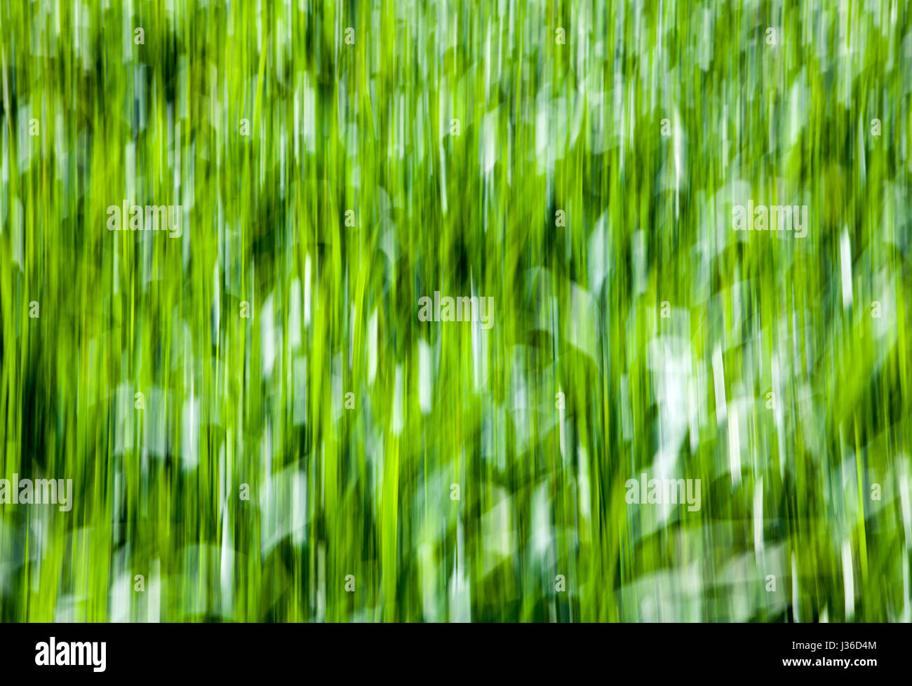 Abstract lines and structures in green grass, closeup, with a blurred wipe effect Stock Photo