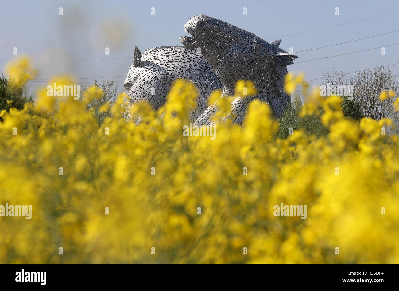 The Kelpies, two 30metrehigh horsehead sculptures on the Forth and