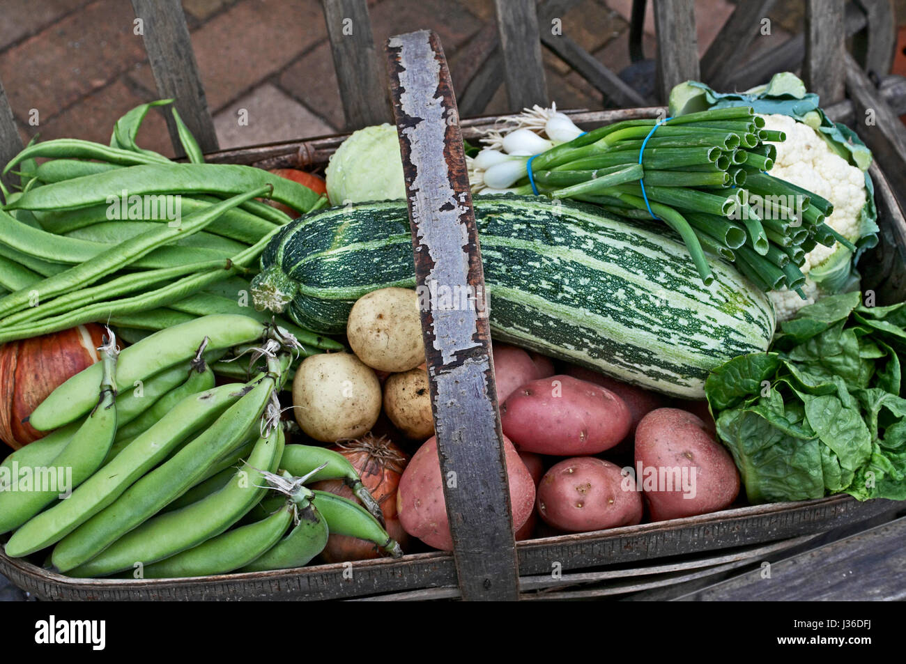 A trug full of fresh vegetables Stock Photo Alamy