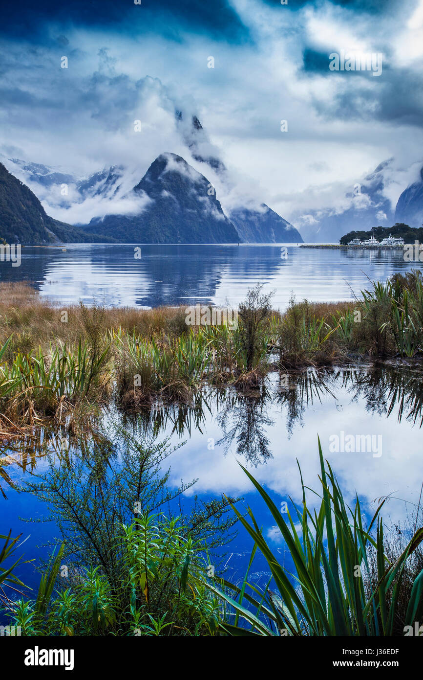 beautiful scenic of milfordsound fiordland national park important ...