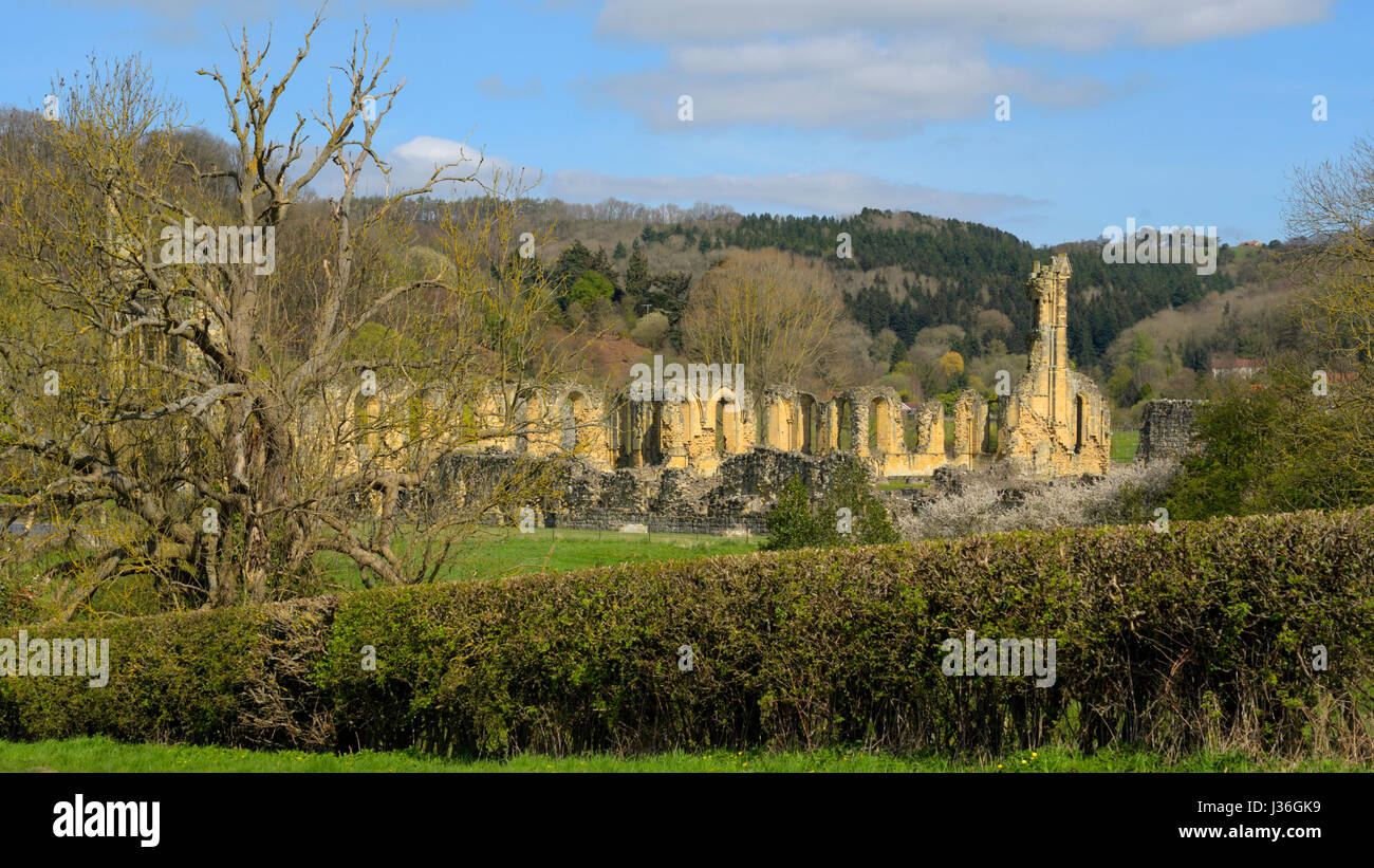 Byland Abbey Ruins Stock Photo