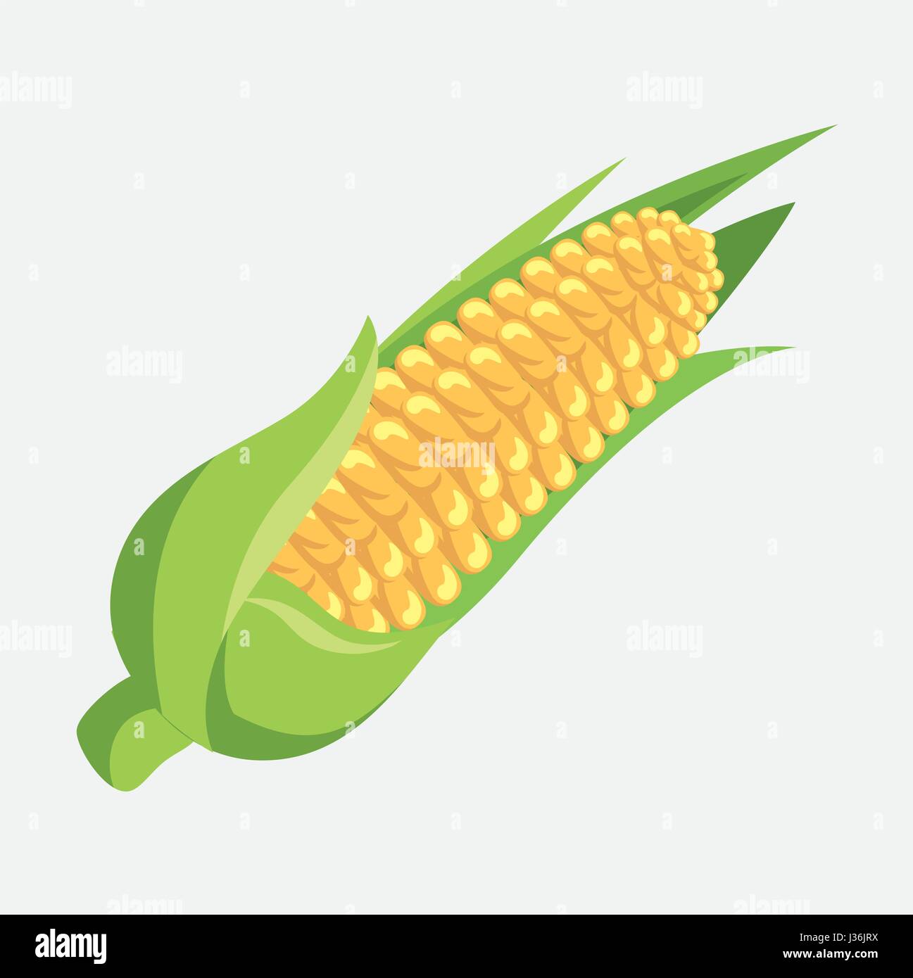 corn fresh and healthy vegetable Stock Vector Image & Art - Alamy