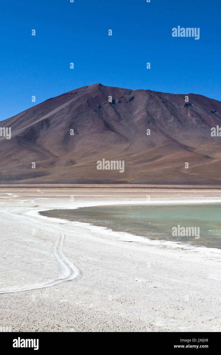 Lagoon with birds and pelicans with colorful mountains. Landscape of the Salar de Uyuni and lagoons like Laguna Verde or Laguna Colorada in the nation Stock Photo