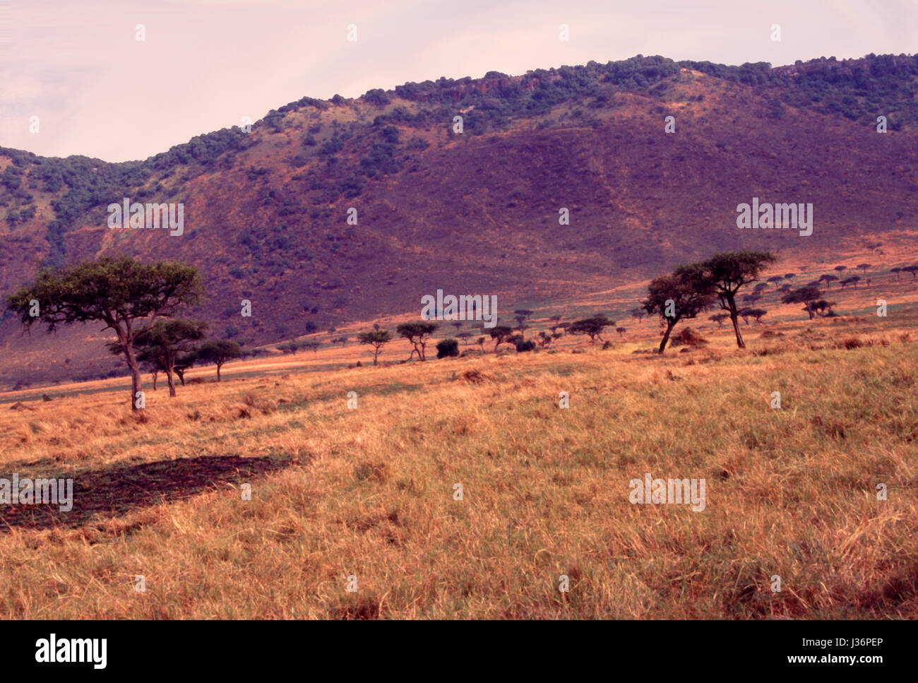 South Eastern Kenya landscape with the background of the Esoit Oloololo Escarpment Stock Photo