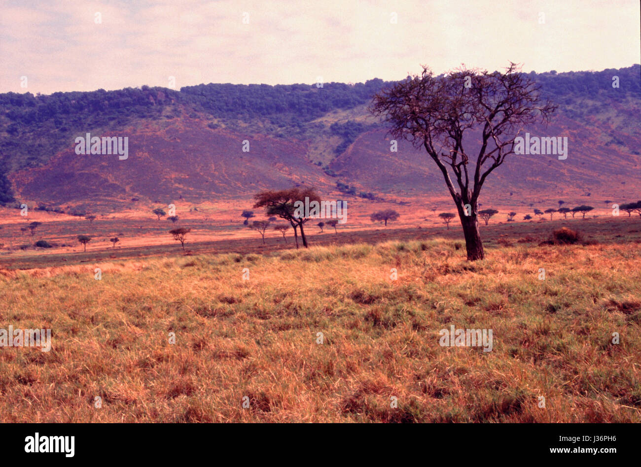 South Eastern Kenya landscape with the background of the Esoit Oloololo Escarpment Stock Photo