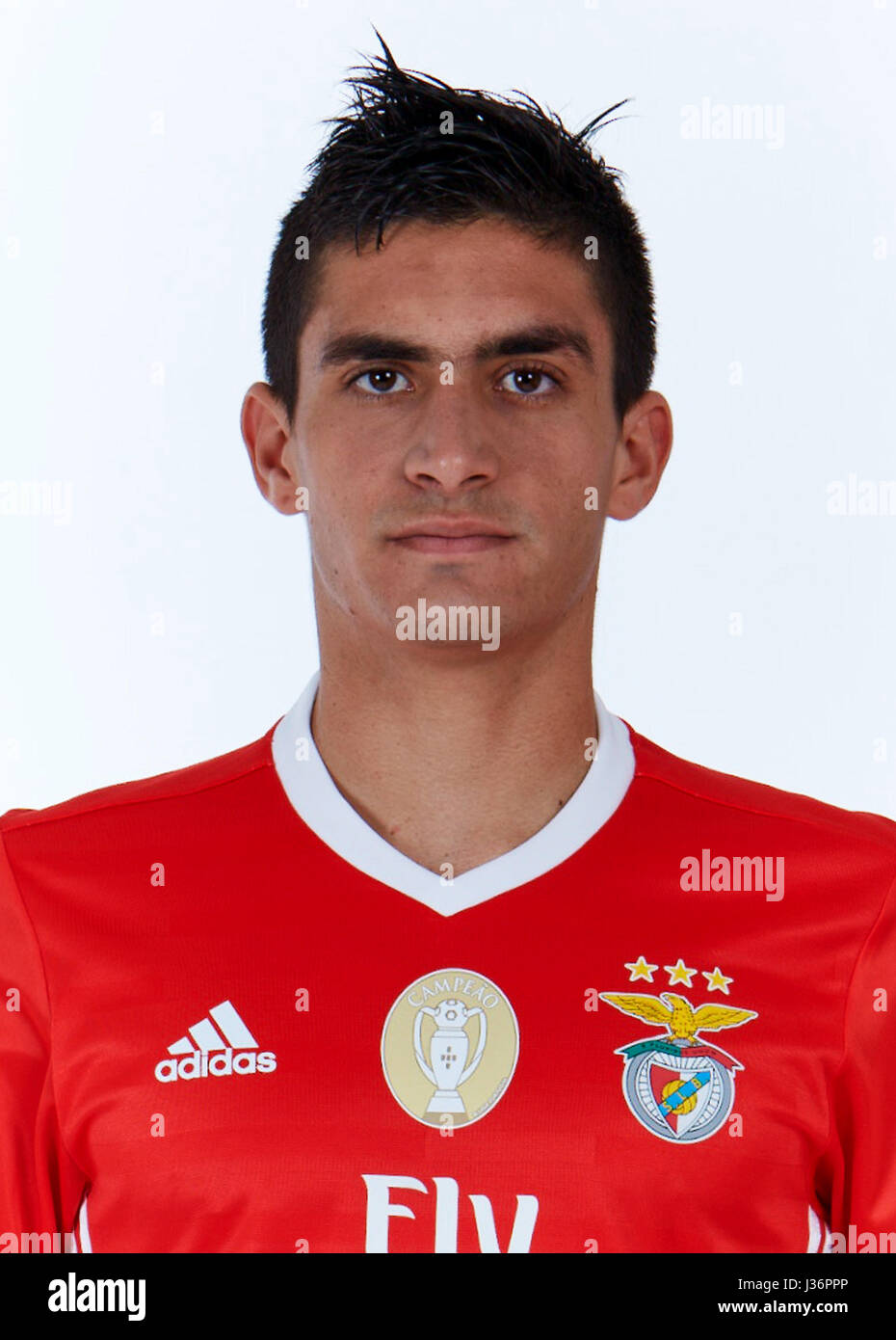 Portugal - Primera Liga NOS 2016-2017 / ( Sl Benfica ) - Guillermo Leon  Celis Montiel Stock Photo - Alamy